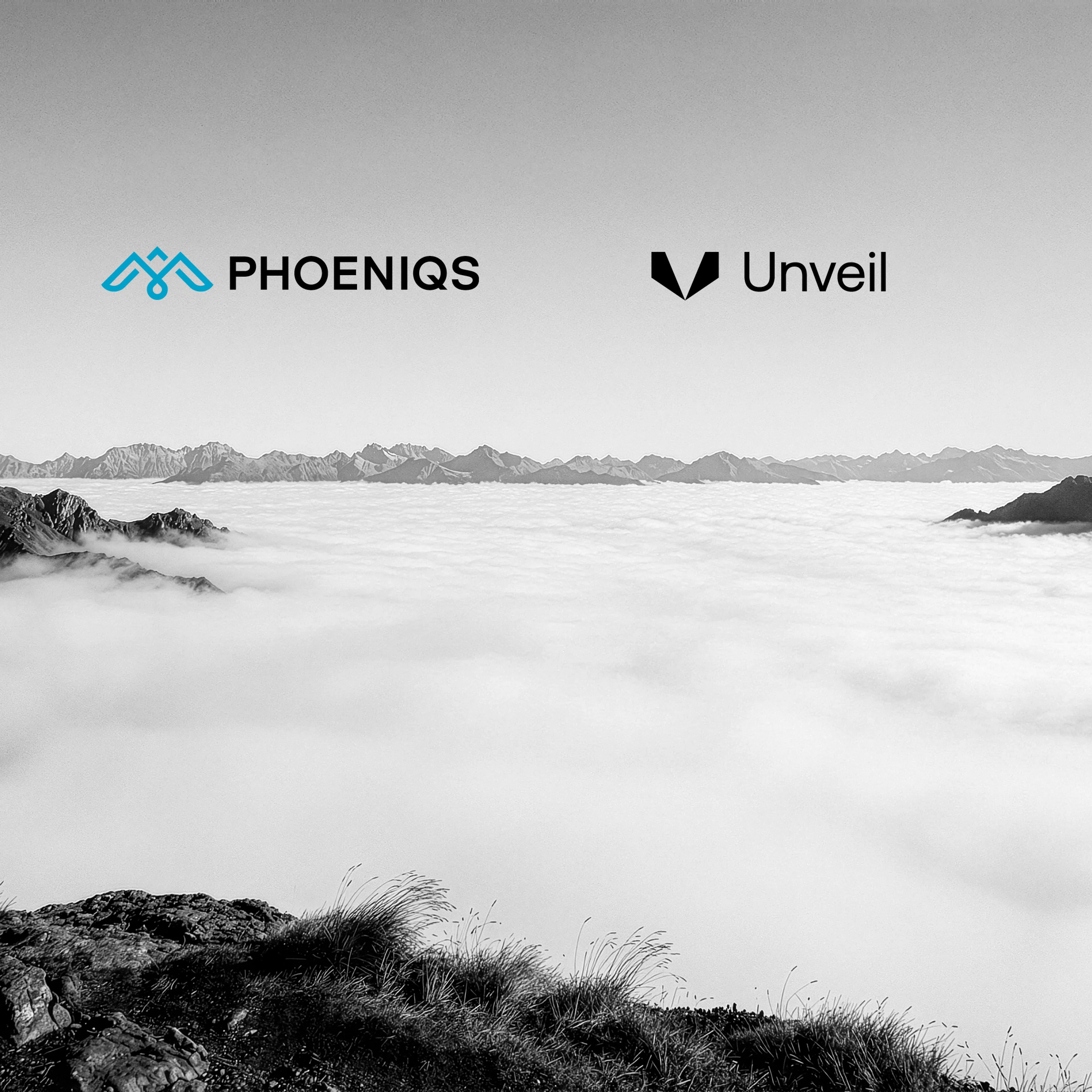 PHOENIQS Unveil Partnership Image