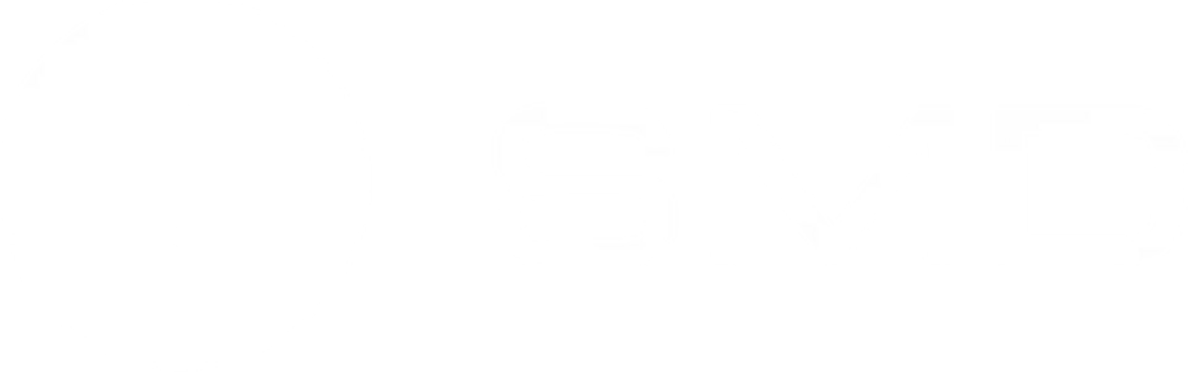 PHOENIX-SYSTEMS