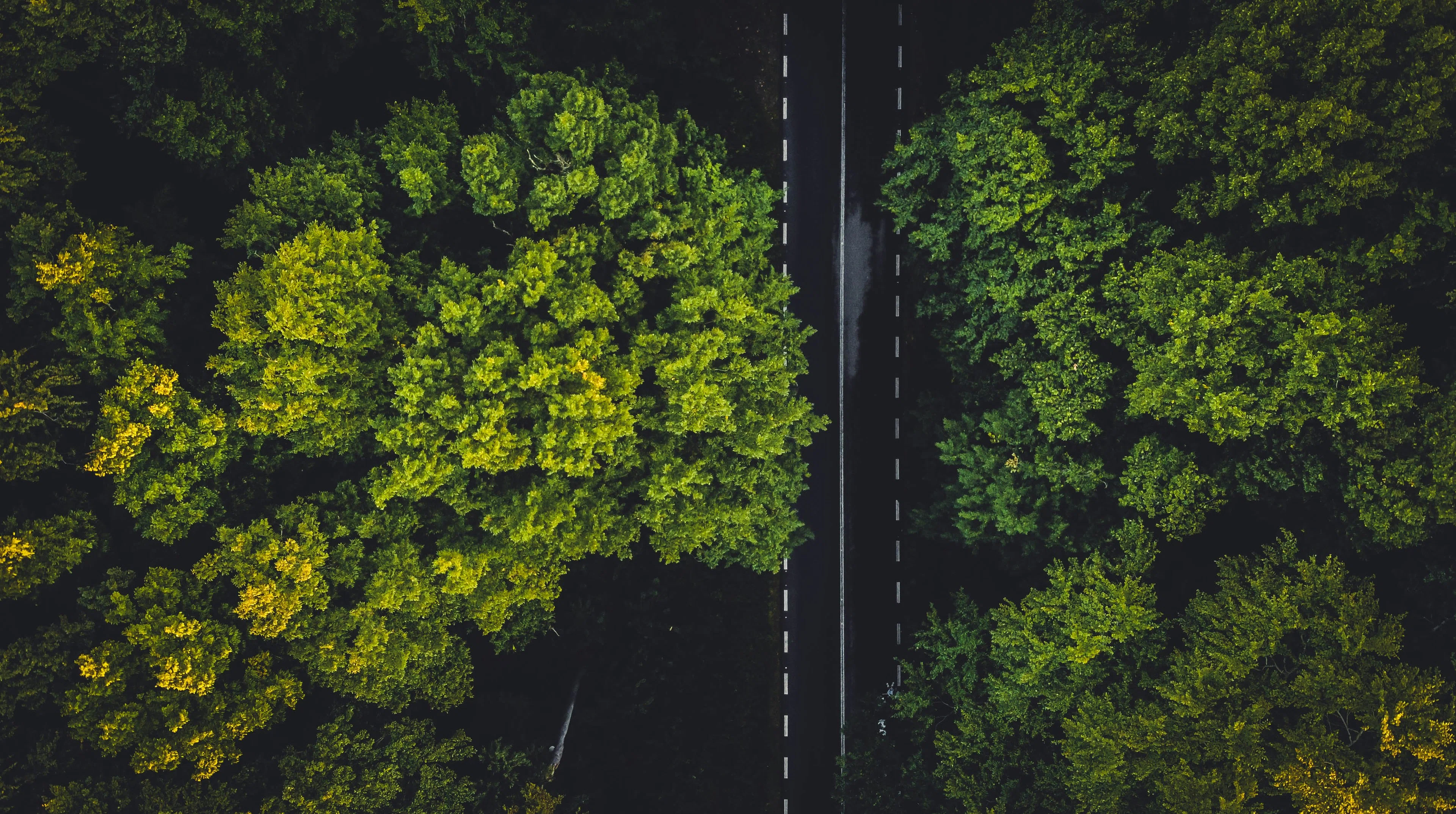 Sustainable Cloud Solution